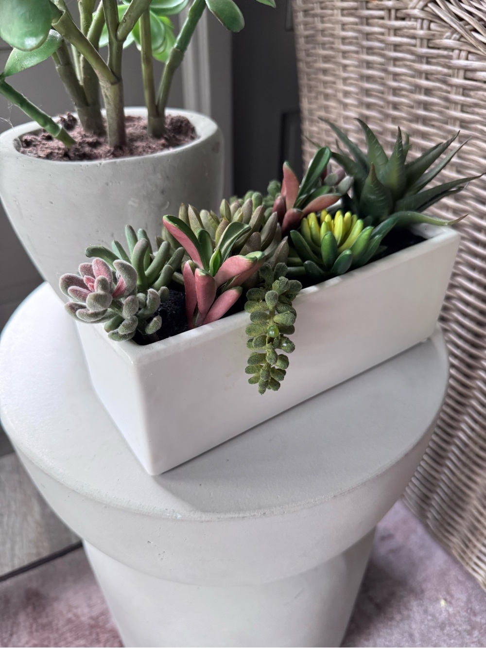 Faux Succulent Arrangement in White Rectangular Planter